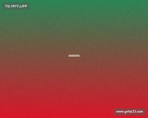 模特赛事的基本流程